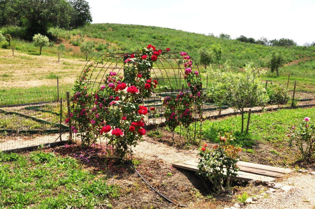 Pensjonat Montecristo Country House Manciano Zewnętrze zdjęcie